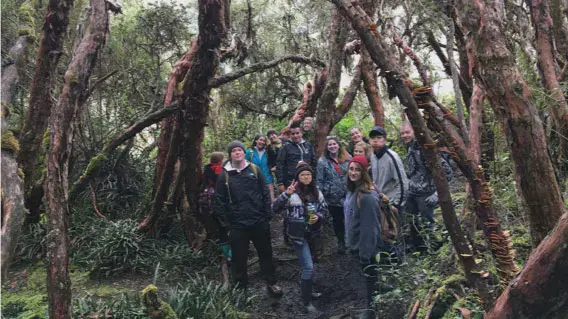 Taylor students in a forest in South America