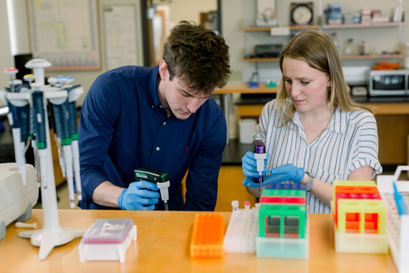Two students filling small containers with chemicals