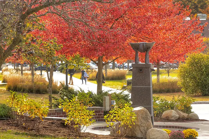 fountain in front of fall trees