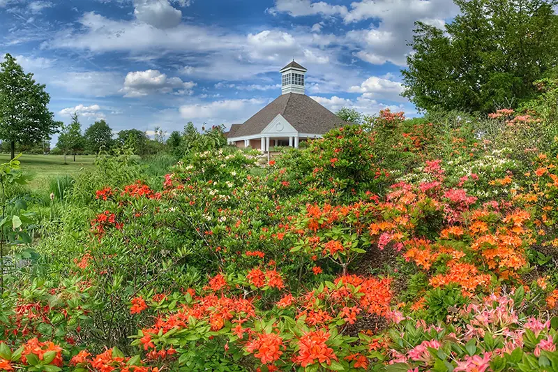 Spring flowers in front of the Memorial Prayer Chapel