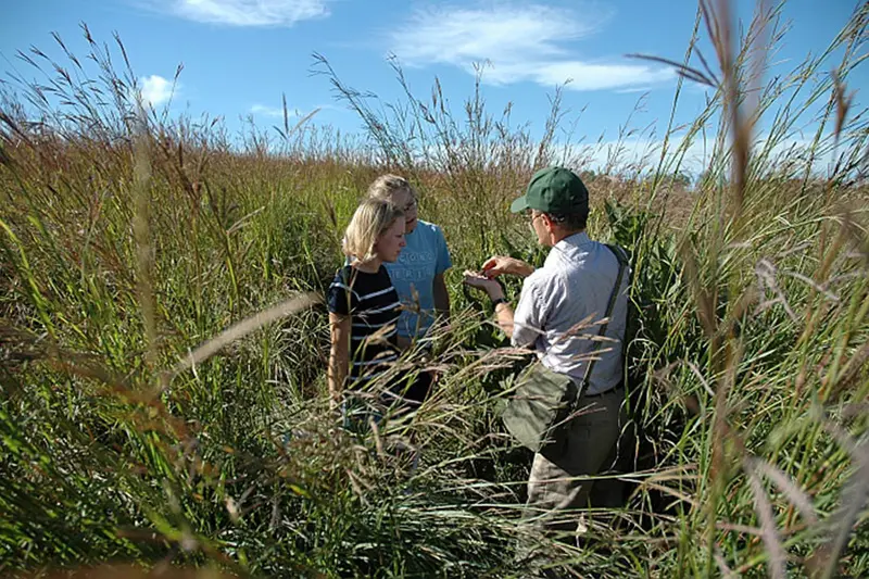 Students walking in a field