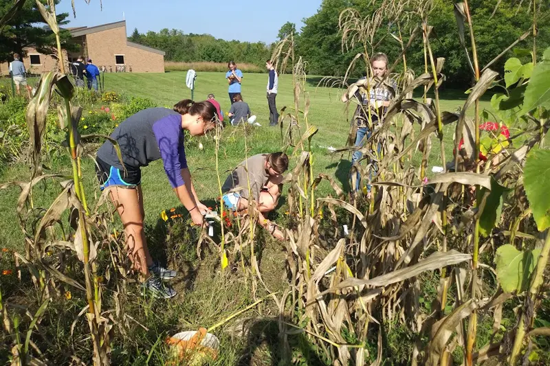 Students working in garden